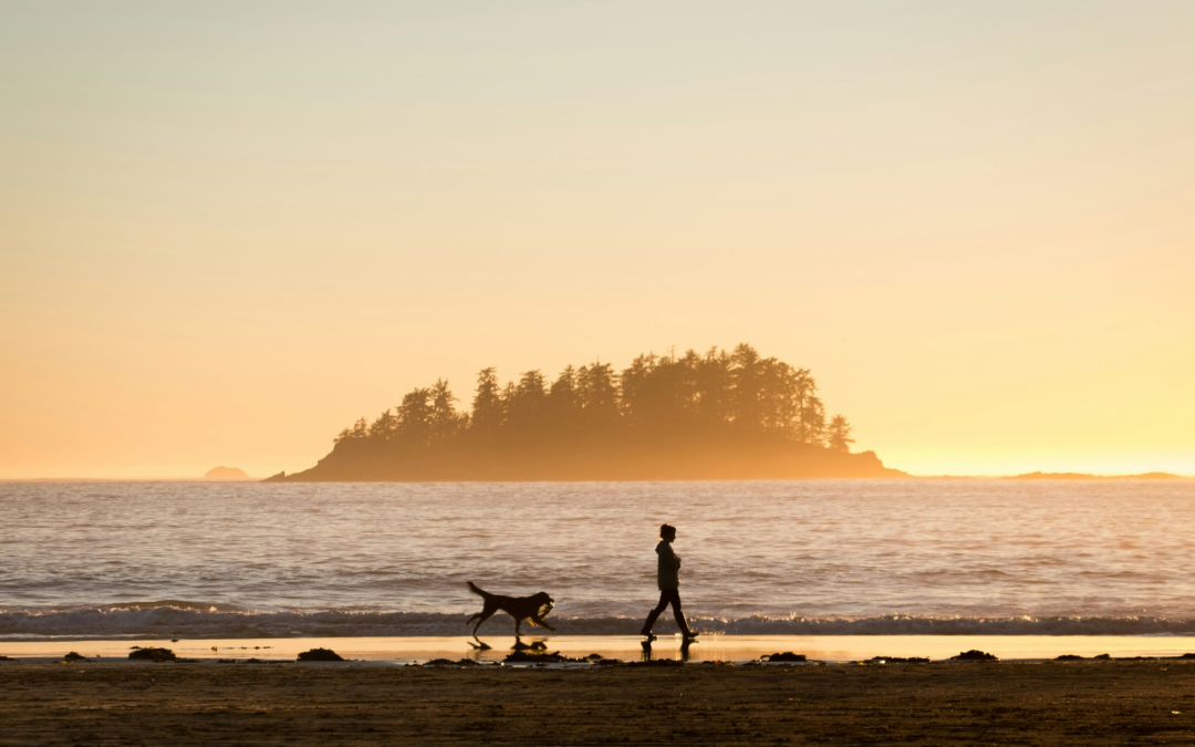 The Golden Hour